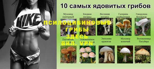 марки nbome Алексеевка