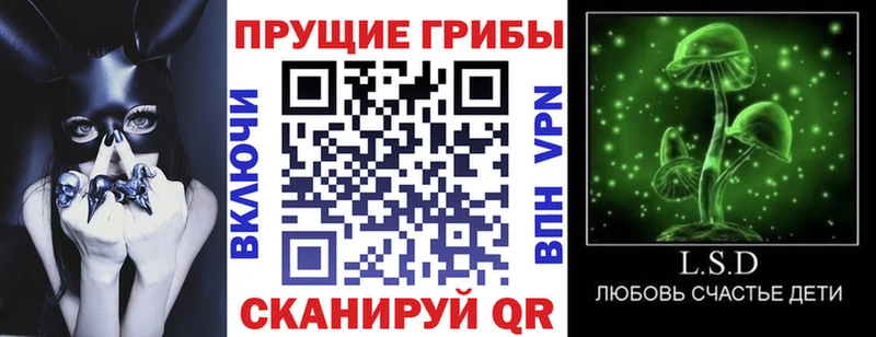 Псилоцибиновые грибы мицелий  Белгород 