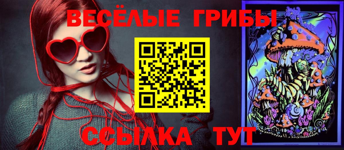 Псилоцибиновые грибы Cubensis  Галлюциногенные грибы прущие грибы  Вход с VPN  Белгород 